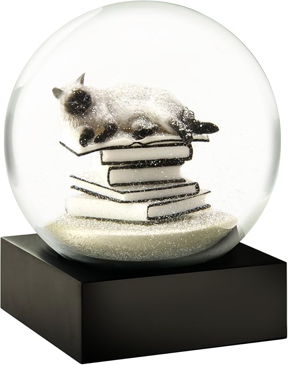 CoolSnowGlobes Cat on Books White Cool Snow Globe Amazon.co.uk
