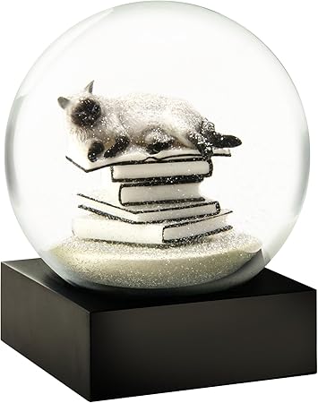 Coolsnowglobes Boule A Neige Chat Sur Livres Blanc Amazon Fr Cuisine Maison