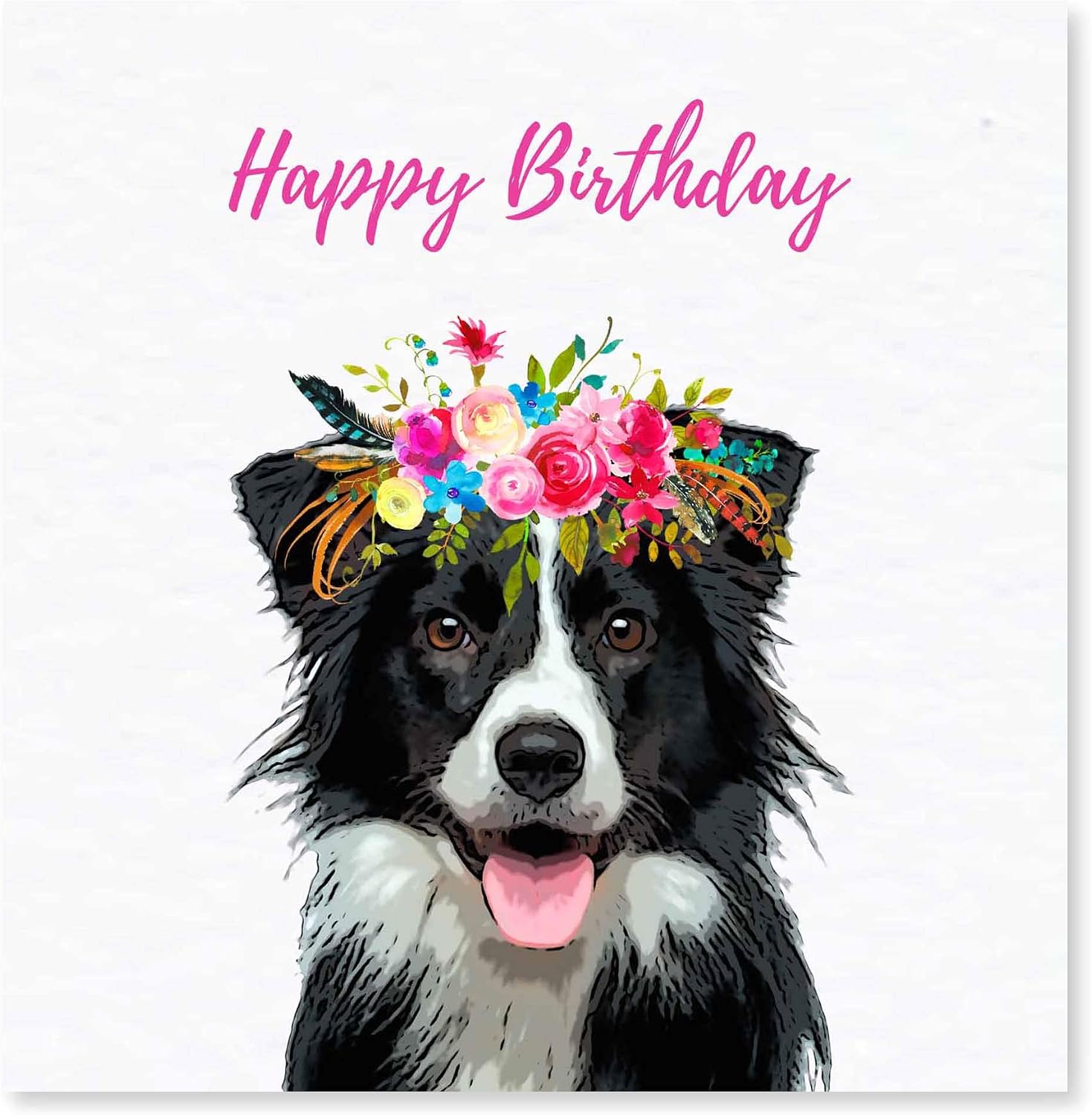 Border Collie Birthday Card, white, 6 x 6 inch