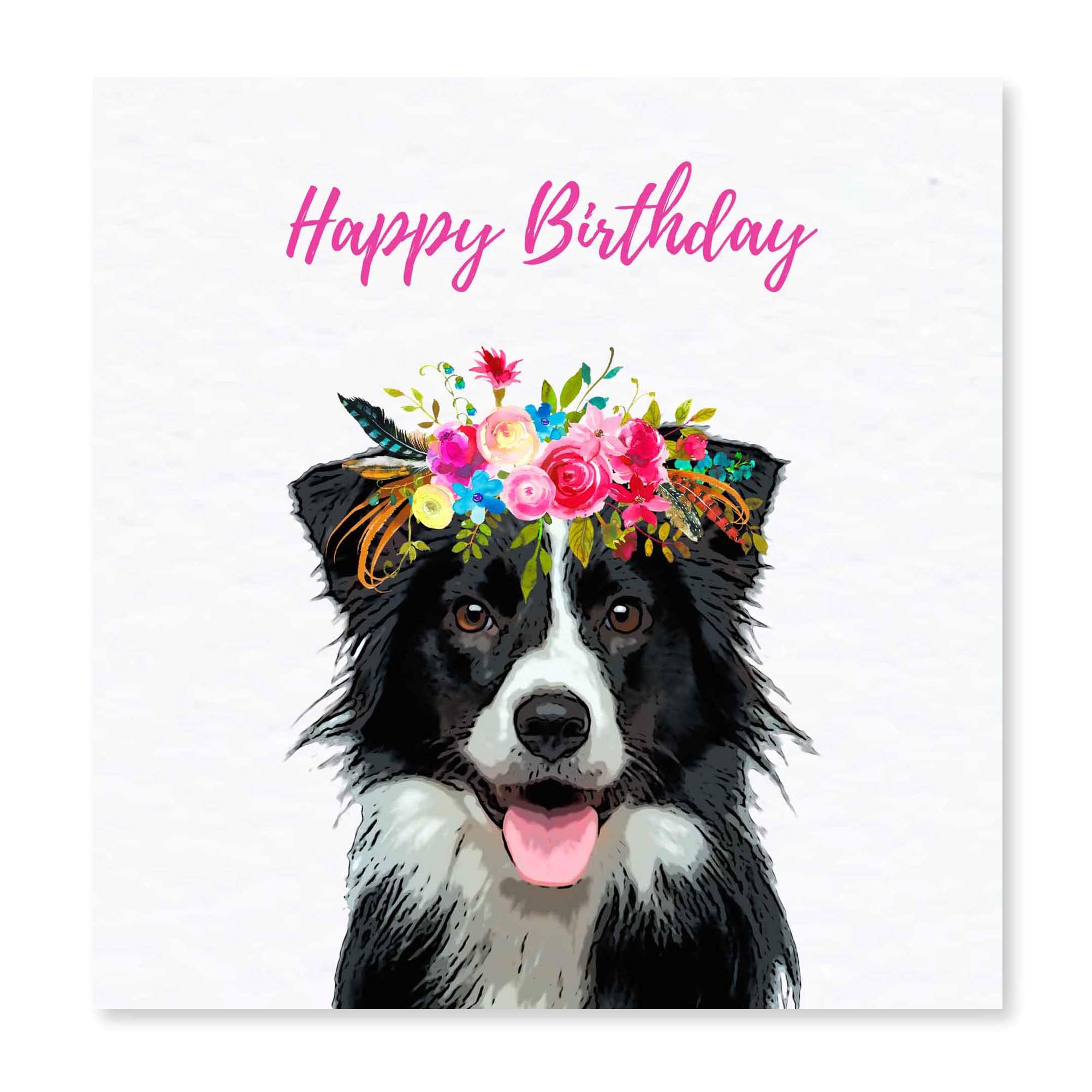 Border Collie Birthday Card