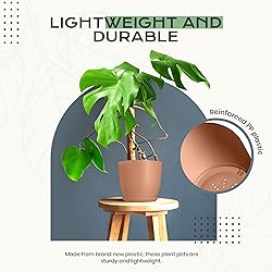 Utopia Home - Plant Pots Indoor with Drainage