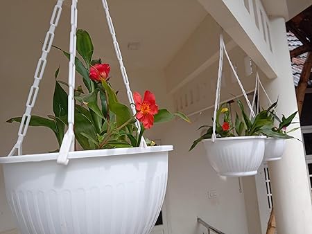 ROCHFERN Plastic Hanging Pot, White, Open Diameter - 19.5cm, Bottom Diameter - 12cm, Height - 11.5 cm