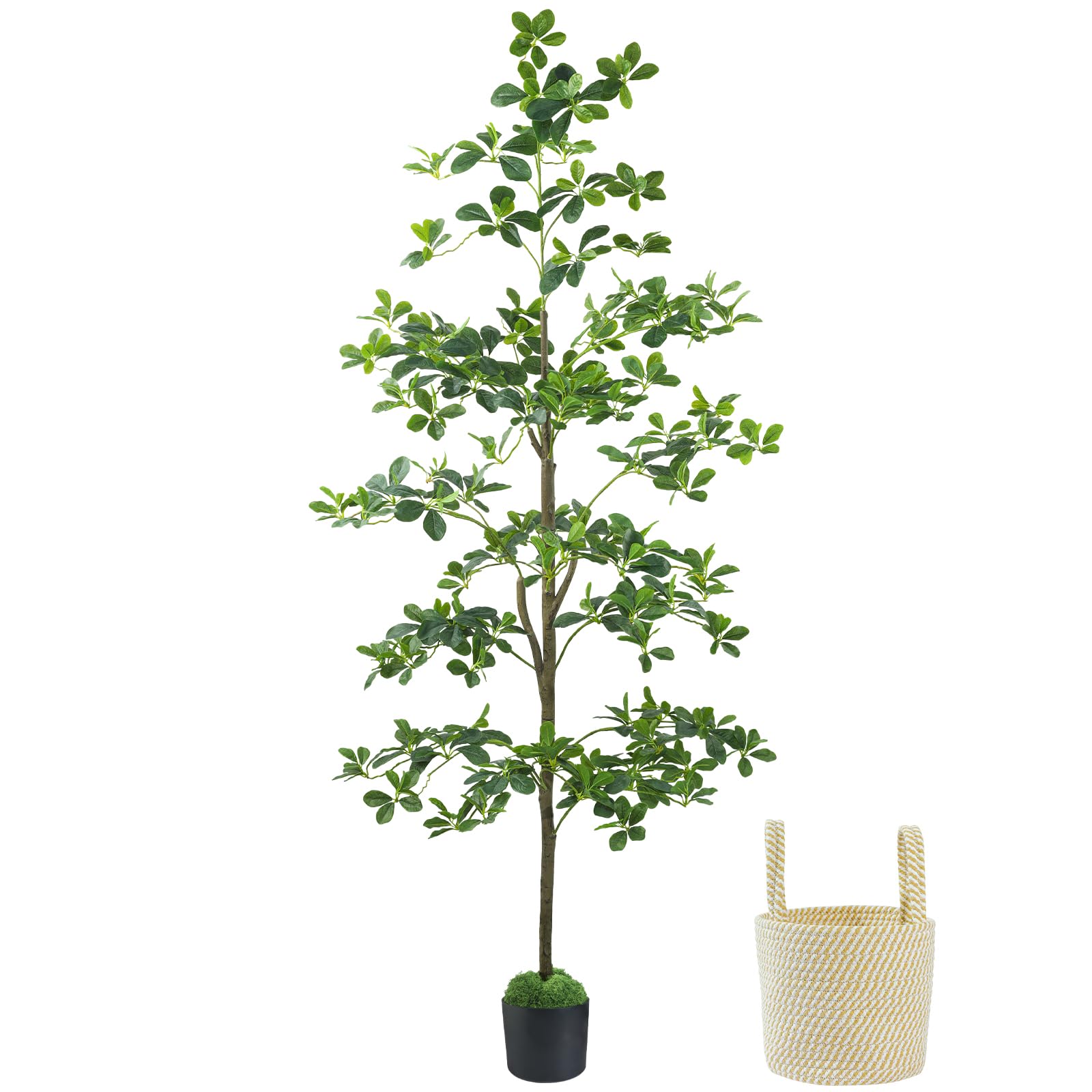 Caxchiling Artificial Black Olive Tree 6FT, Fake Potted Tree for Indoor Outdoor, Lifelike Faux Floor Plants with Moss Topper and Cotton Basket, Home Office Living Room Bedroom Doorway Hallway Decor