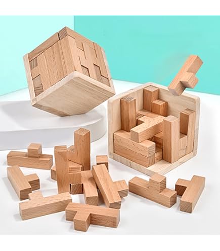 Amazon.com: Wooden Brain Teaser Puzzle Skills Builder Shape Pieces