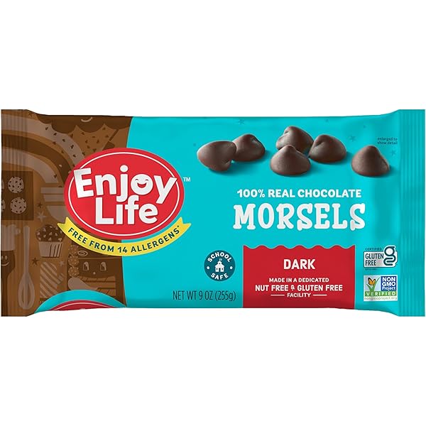 Amazon.com: Enjoy Life Dark Chocolate Morsels, 9 Ounce (Pack of 12
