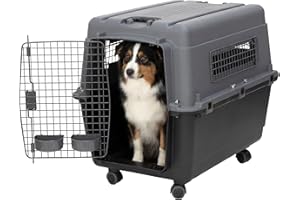 Sport Pet Large Airline Plastic Dog Kennel