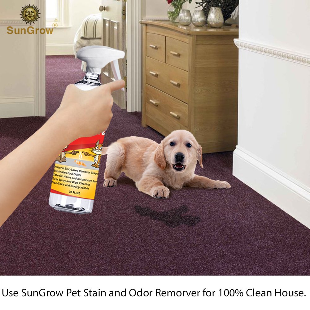 SunGrow Advanced Pet Urine Stain and Odor Remover for Dogs & Cats Owners: Clear, Clean, Enzyme Blend with a Pleasant Green Tea Scent : Color Safe & Effective for Clothing, Rugs, Counter-Tops & Floors