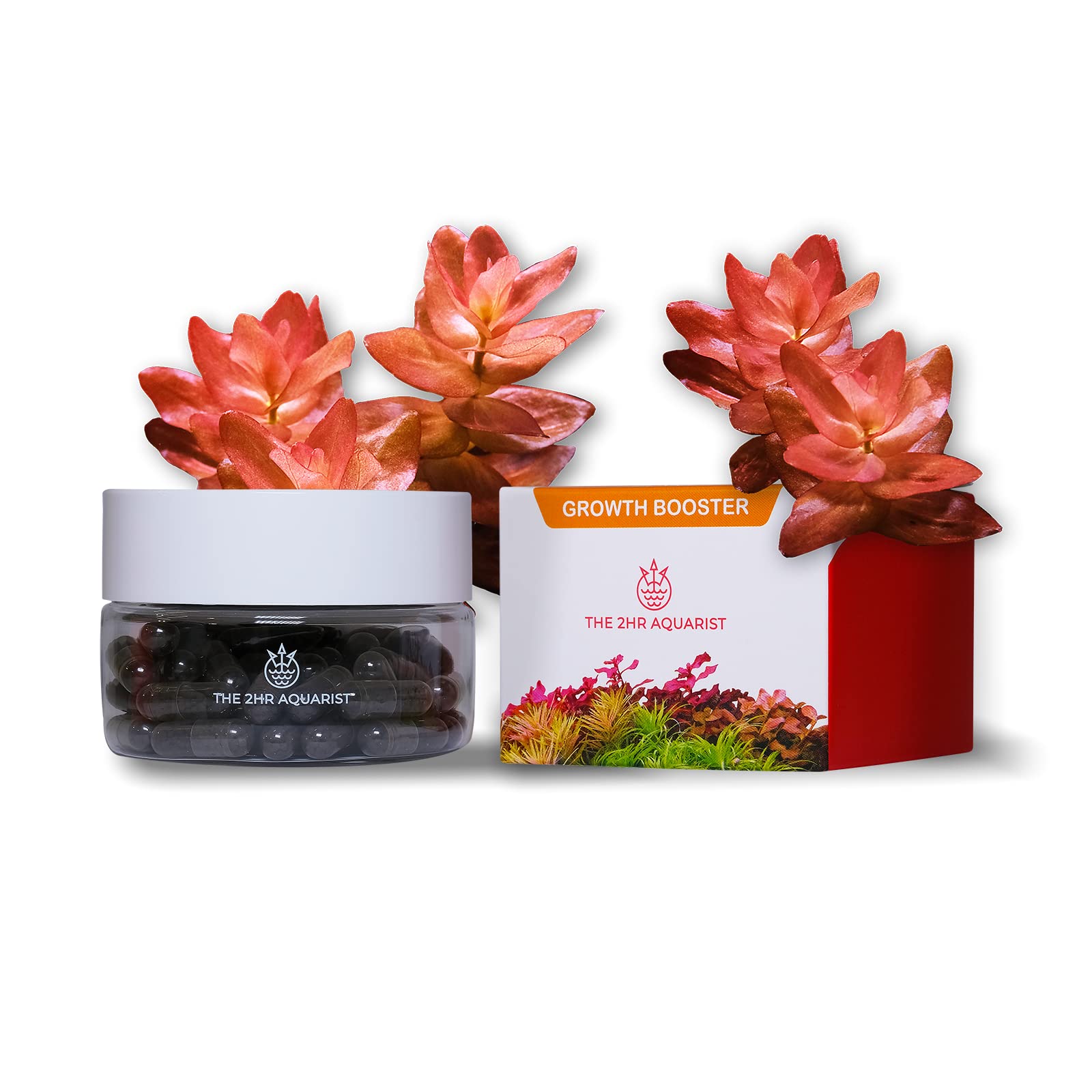 THE 2HR AQUARIST APT Jazz Root Tabs for aquarium plants (54 Tabs)