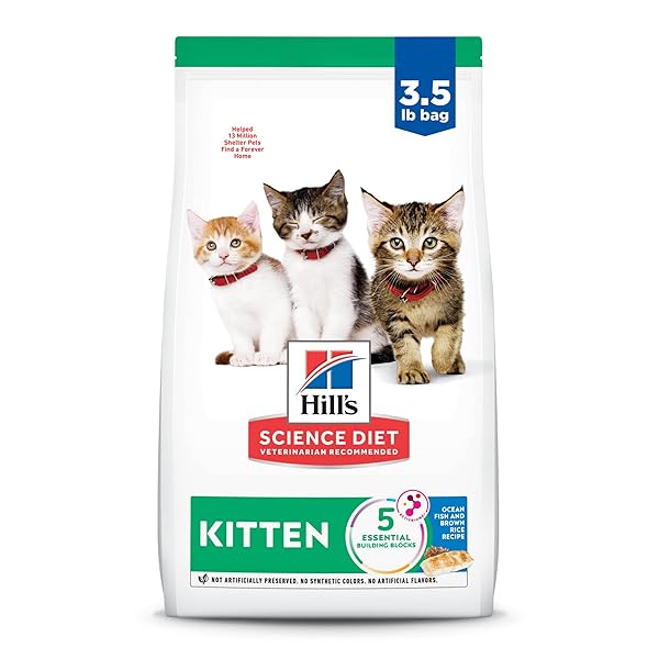 HILL’S SCIENCE DIET KITTEN, KITTEN PREMIUM NUTRITION, DRY CAT FOOD, OCEAN FISH & BROWN RICE, 3.5 LB BAG