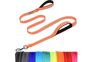 VIVAGLORY Twingrip Dog Leash, Double Handle Dog Leash for Training & Walking with Traffic Handle & 2 Loop, Traffic Control Re