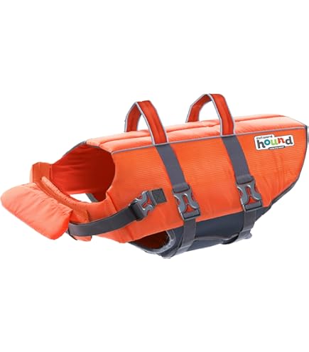 Colemanペットプールボートビーチ湖のFlotationベスト Amazon | Colemanペットプールボートビーチ湖のFlotationベスト