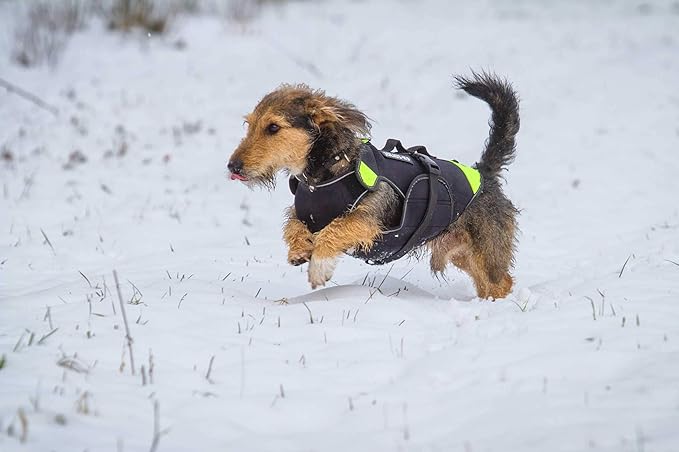 julius k9 neoprene vest