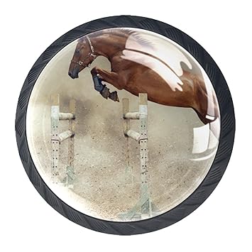 Türgriffe Pferdekreuzung 4er Pack Knöpfe für Kommodenschubladen