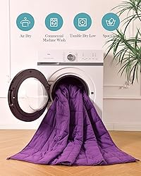 Topblan Weighted Blanket Queen Size 15lbs, Cozy