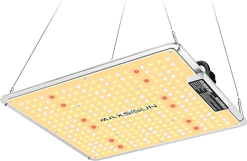 hstcstbl-table__image