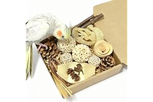 PINEPOP Bird Toys - Sola Ball Foraging Box, 10 Natural Ingredients | Chewing and Shredding Parrot Toys | Ideal for Parakeets/Cockatiels/Conures/Lovebirds and Small to Medium Birds