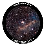 HS-46 Segull Nebula Star disc for The Homestar Flux