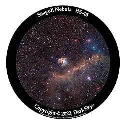HS-46 Segull Nebula Star disc for The Homestar Flux