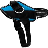 ShawnCo Essential Dog Harness, No-Pull Pet Vest (Oceanic Blue,S) | 3 Leash Clips, Easy On, No-Choke, Reflective, Adjustable Fit, Padded Comfort, Control Handle, For Small, Medium &amp; Large Dogs