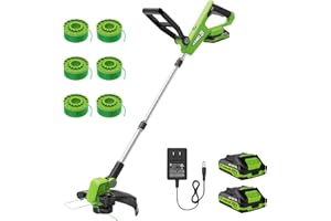 VARSK 20V String Trimmer Cordless, 12 Inch 2 in 1 Trimmer and Edger, Automatic Line Feed, Includes 2 X 2.0Ah Batteries/1 X Fast Charger/6 X Spare Spools, for Lawn, Garden, etc, Light Green