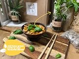 Love Rustic Set of 3 Indoor Herb Garden Jars Mint Basil Coriander Kit view 5