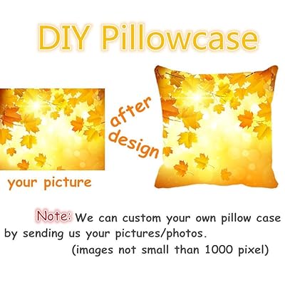 eve pillow protector