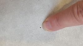 Review Image by RAM RAM