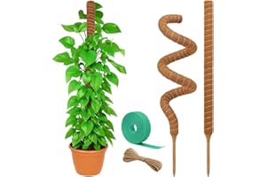 Craft911 Moss Pole Monstera Plant Support – 2 Pack 28” Bendable Moss Pole Monstera Plant Support, Plant Stakes for Indoor Plants, Tall Plant Sticks Support for Climbing Plants