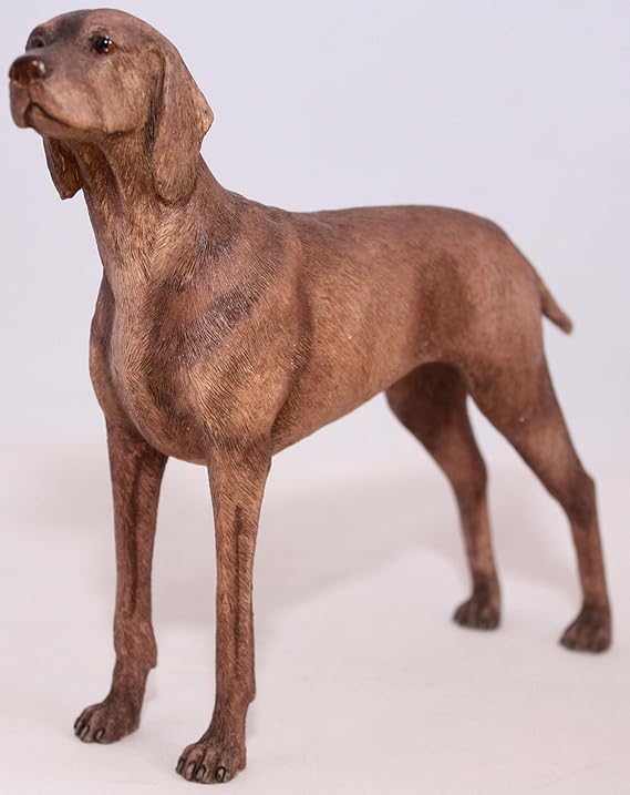 Hungarian Vizsla Dog Ornament Amazon.co.uk Kitchen & Home