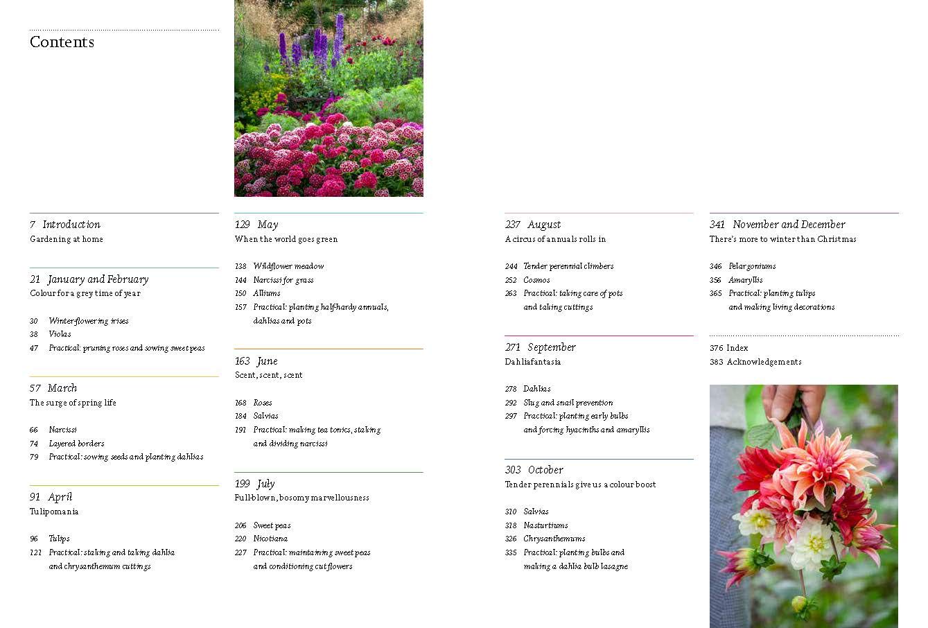 A Year Full of Flowers: Gardening for all seasons