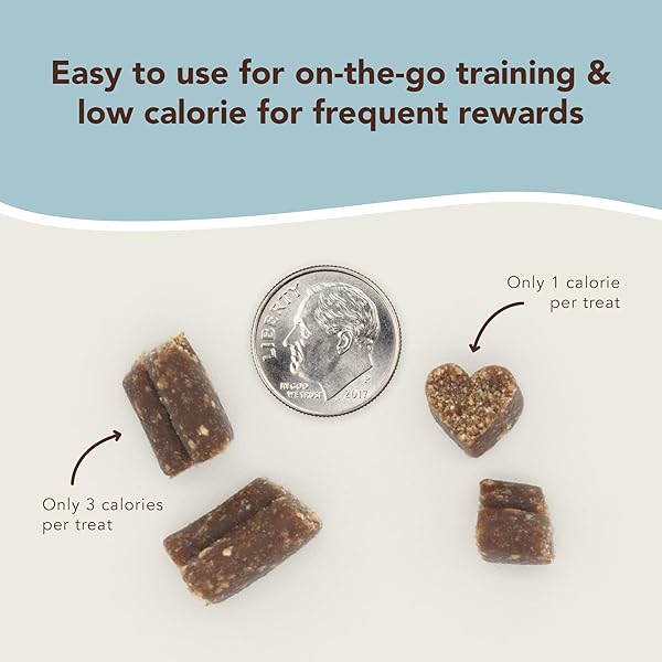 NATURAL DOG COMPANY TRAINING TREATS, PEANUT BUTTER AND JELLY, TINY SIZE, ALLERGEN-FREE INGREDIENTS, 8 OZ BAG