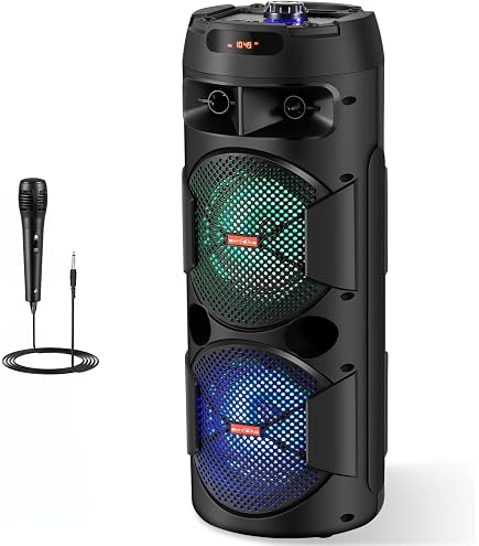 Amazon.com: Audiobox ABX-2900R Dual 8
