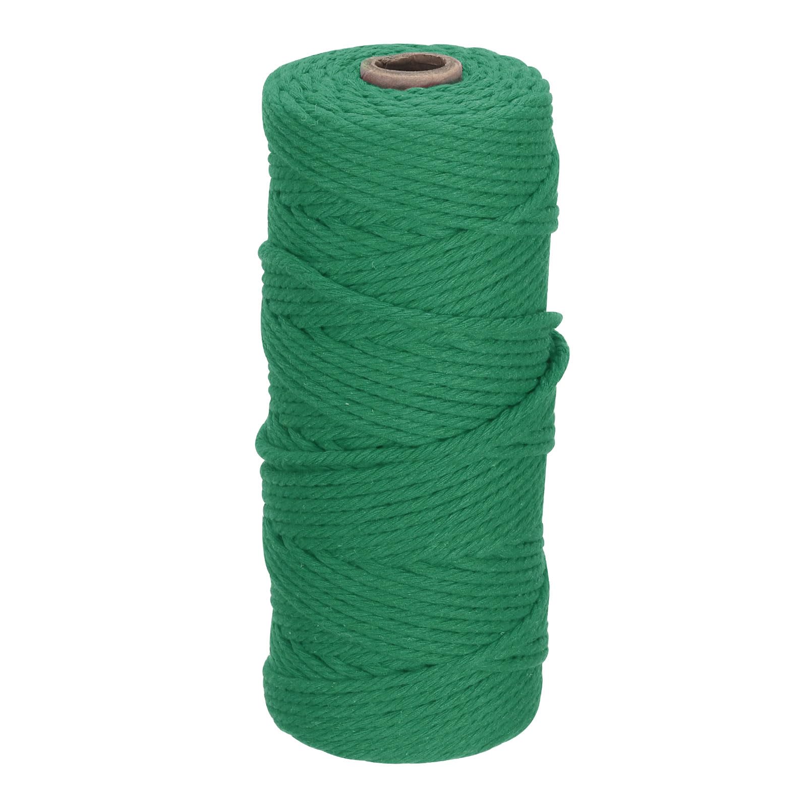 DMiotech 3mm x 100M (109 Yard) Emerald Green Natural Cotton Macrame Rope, Wall Hanging Handmade 2 Strands Twisted Macrame Cotton Cord for Plant Hangers, Gift Wrapping Wedding