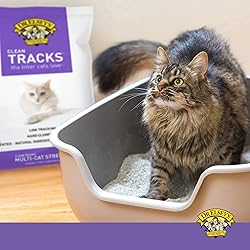 Dr. Elsey's® Clean Tracks Clumping Clay Cat Litter
