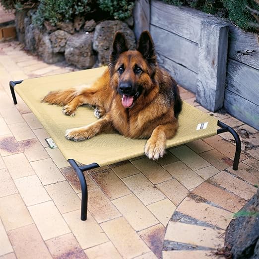 coolaroo dog bed extra large