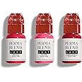 Perma Blend Luxe - Pink Lip Set - Microblading Lip Blushing Kit with Pink Gala, Hot Pink & Pomegranate V2 Tattoo Ink Shades - Vegan & Cruelty-Free - 3 Count (0.5 oz each)