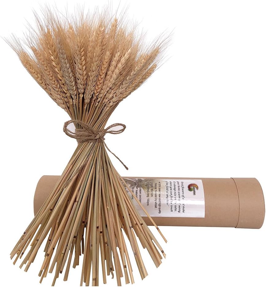 HGFF Natural Dried Wheat Bunches Flowes For Wedding Centerpieces Decorative 100 pcs (16 inch)