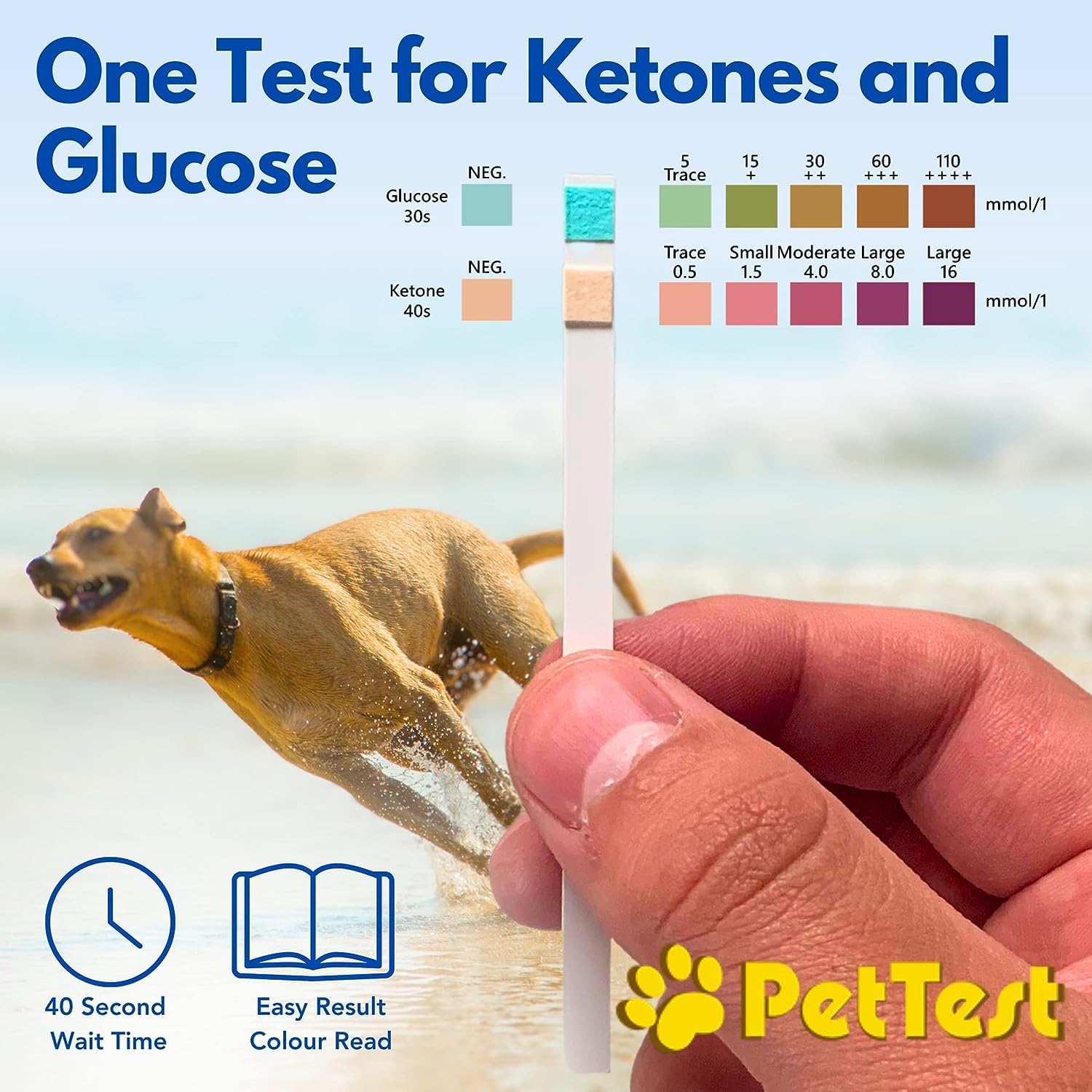 Pet Urine Test Strips Ketone Glucose Strips for Dogs and Cats Urinalysis (50 Strips) Monitoring and Avoid UTI by Advocate Pettest