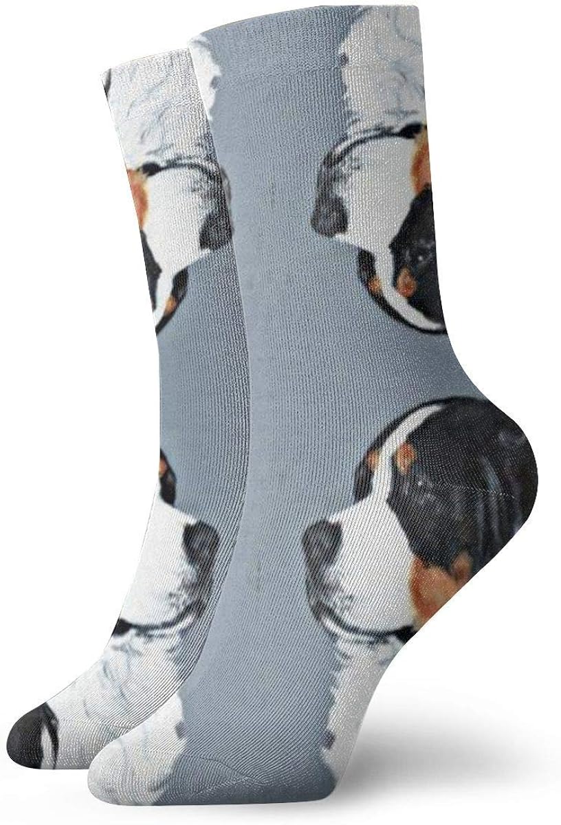 Bernese Mountain Dog Novelty Christmas Casual Crew Socks Athletic