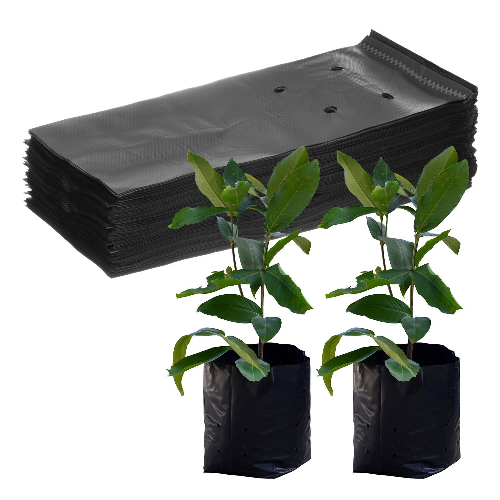 M METERXITY 100-Pack Nursery Growing Bags, 7.9" x 9.8" Thicken Plastic Nursery Bags, Gardening Seed Plant Bags for Potato/Flower/Tomato/Plant Starts/Home Gardening Supplies [Black]