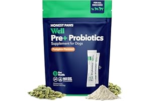 Honest Paws Probiotics for Dogs - Dog Digestion Gut Health Probiotic Powder with Prebiotic Made in The USA, Digestive and Immune Support - Digestive Enzymes with Pumpkin Flavor (30 Sticks)
