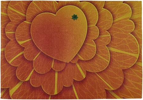 XUGGL Manteles Individuales Juego de 4 para Mesa de Comedor Naranjas de