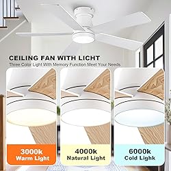 Ceiling Fans with Lights, 42 inch Low Profile