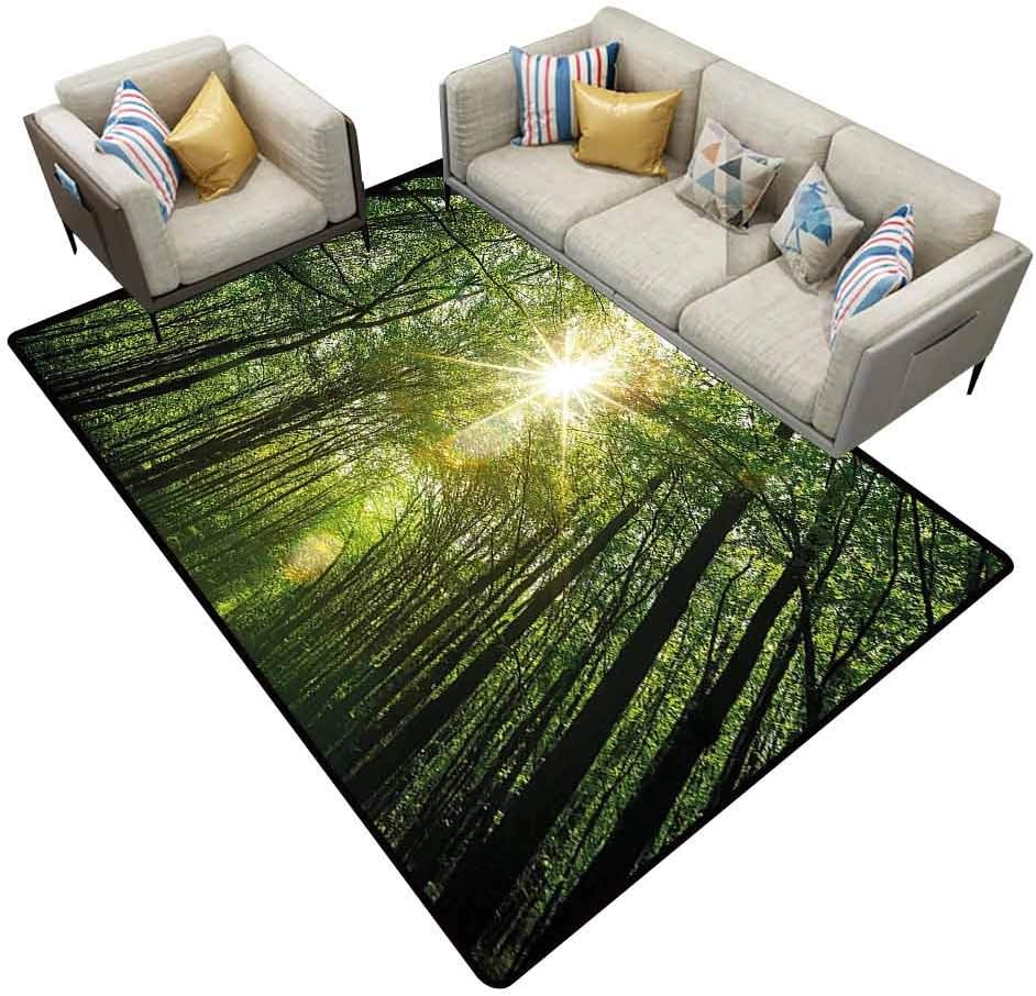 Indoor Outdoor Carpet Forest Summer Trees Upward View with Sunrays Leaking from Branches Nature Image Fern Green Yellow Kids Rug Area 5'x8'