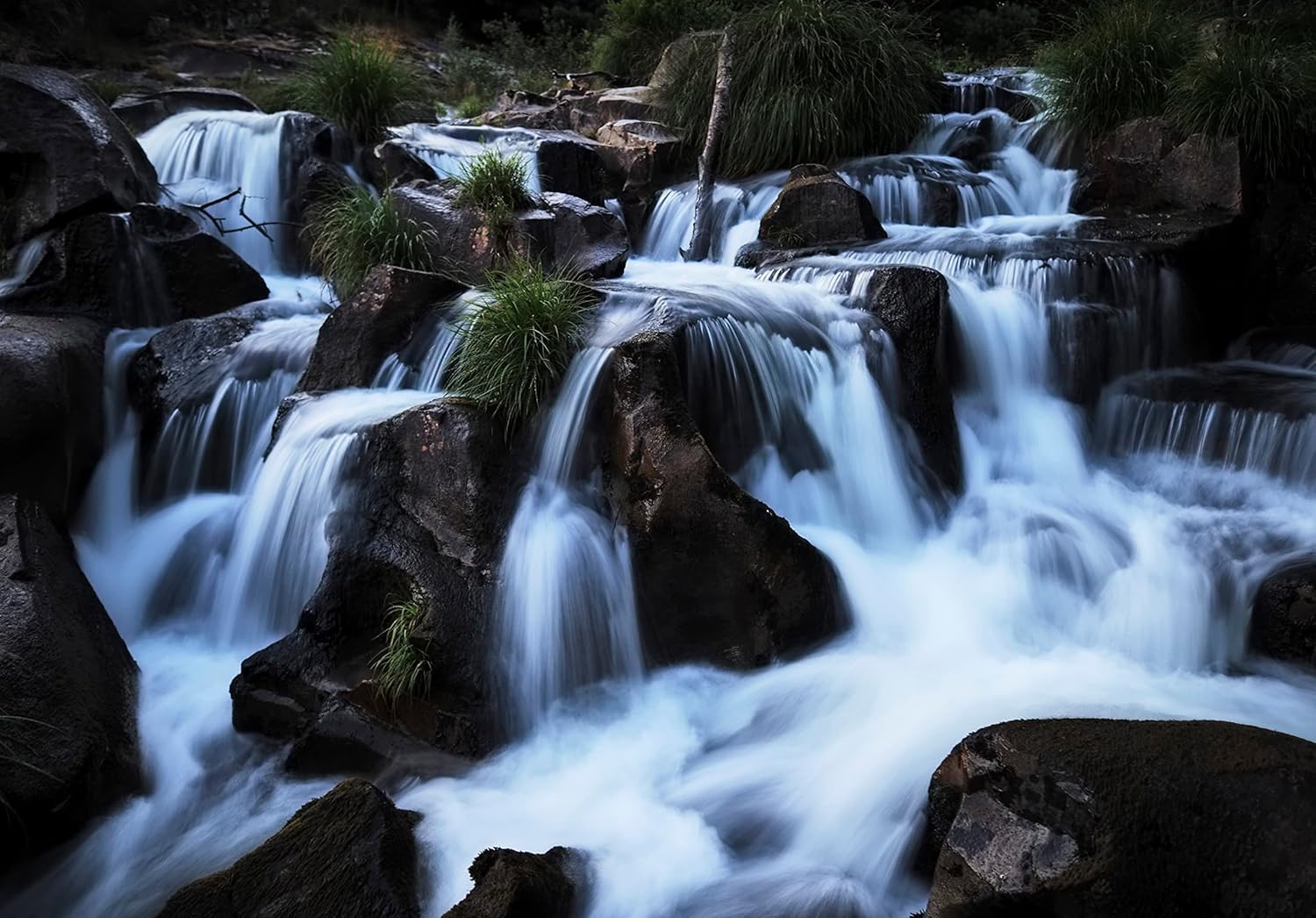 OM SYSTEM OM-5 Micro Four Thirds Systemkamera, 20 MP Live MOS-Sensor, optimierte 5-Achsen-Bildstabilisierung, IP53, Handheld High Res Shot, Schwarz 2