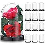 Zhengmy 12 Pcs Plastic Dome Display Case Cloche