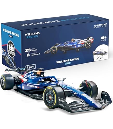 Amazon.com: Tamiya 1/20 Williams FW-13B Renault F1 Car Model Kit