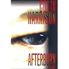 Afterburn: A Novel