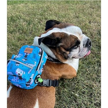 17 inch laptop backpack dimensions 17-inch laptop backpack