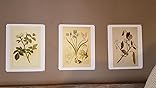 Instant Wall Art Butterfly Botanical Prints 45 ReadytoFrame Vintage Illustrations for Your Home Dcor